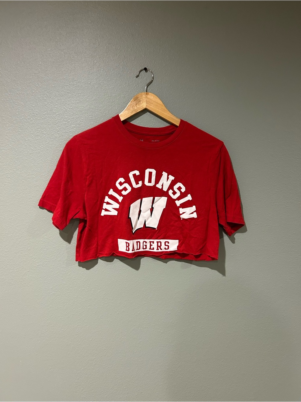 Badgers Cropped Tee